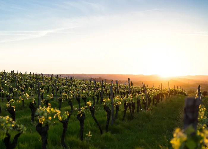 ホテル Paul & Pia By Collection - Welcome